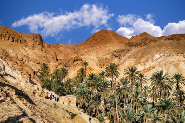 𝗖𝗜𝗥𝗖𝗨𝗜𝗧𝗦 𝗦𝗨𝗗 𝟰 𝗝𝗢𝗨𝗥𝗦  𝗣𝗔𝗖𝗞 𝙑𝙄𝙋   #SPECIAL_Aid   & #Vacances_Mars_Avril