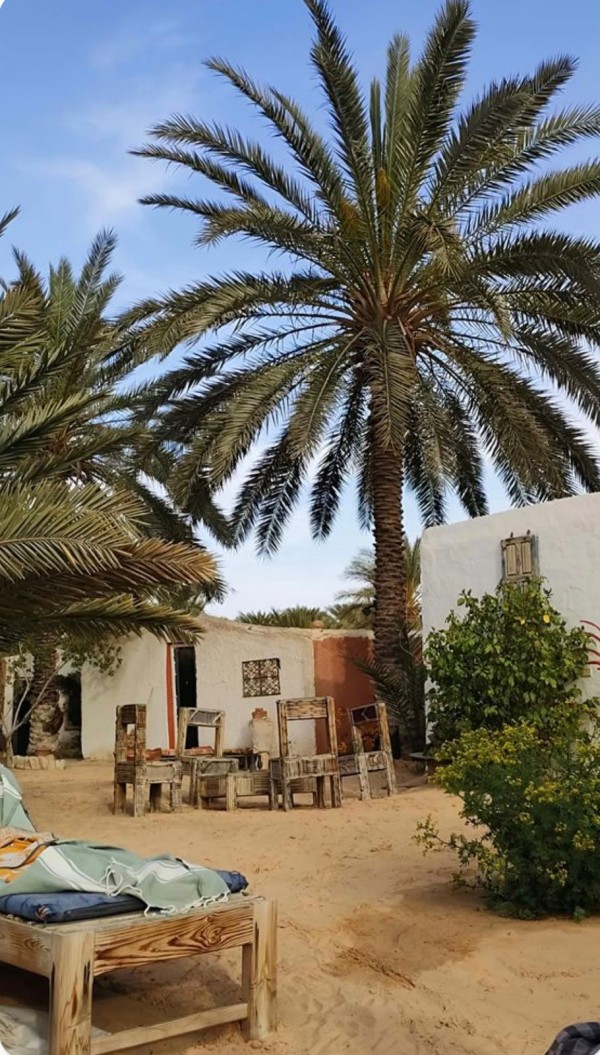 Circuit Sud Tunisien : Pack Ras El Ain Tozeur 4*